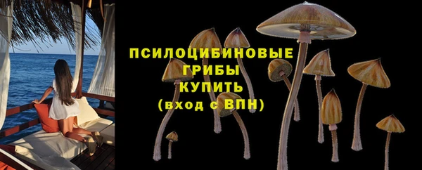 MDMA Армянск