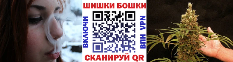 Шишки марихуана семена Бологое